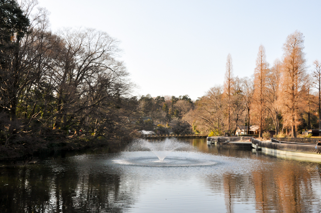 Inokashira Park_01_1024x680