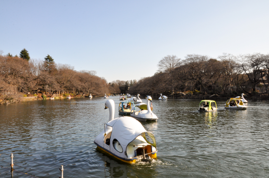 Inokashira Park_02_1024x680