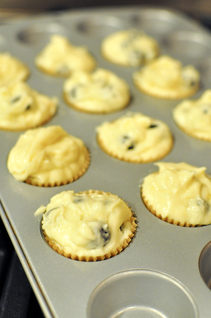Blueberry Muffins_08_680x1024