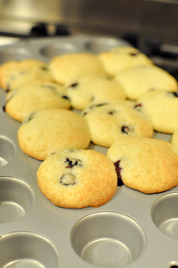 Blueberry Muffins_09_680x1024