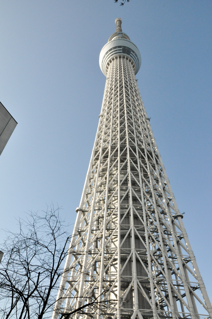 Tokyo_Skytree_5_680x1024